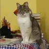 Отзыв от Нинель Коновалова